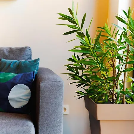 Апартаменты Monochrome Urban Hoodie