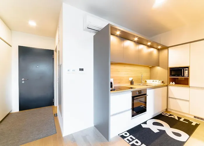 Monochrome Urban Hoodie * Ljubljana