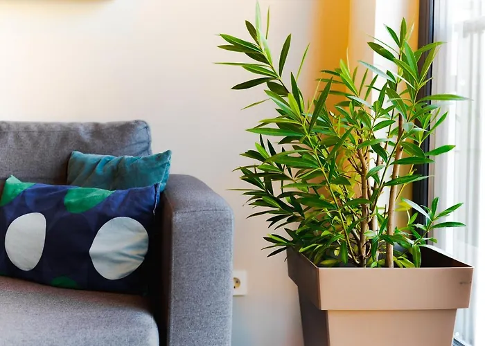 Apartma Monochrome Urban Hoodie