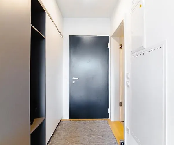 Monochrome Urban Hoodie