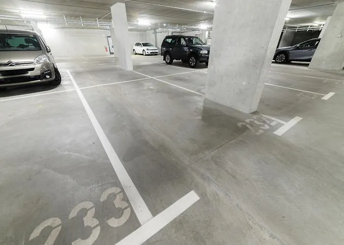 Monochrome Urban Hoodie Ljubljana